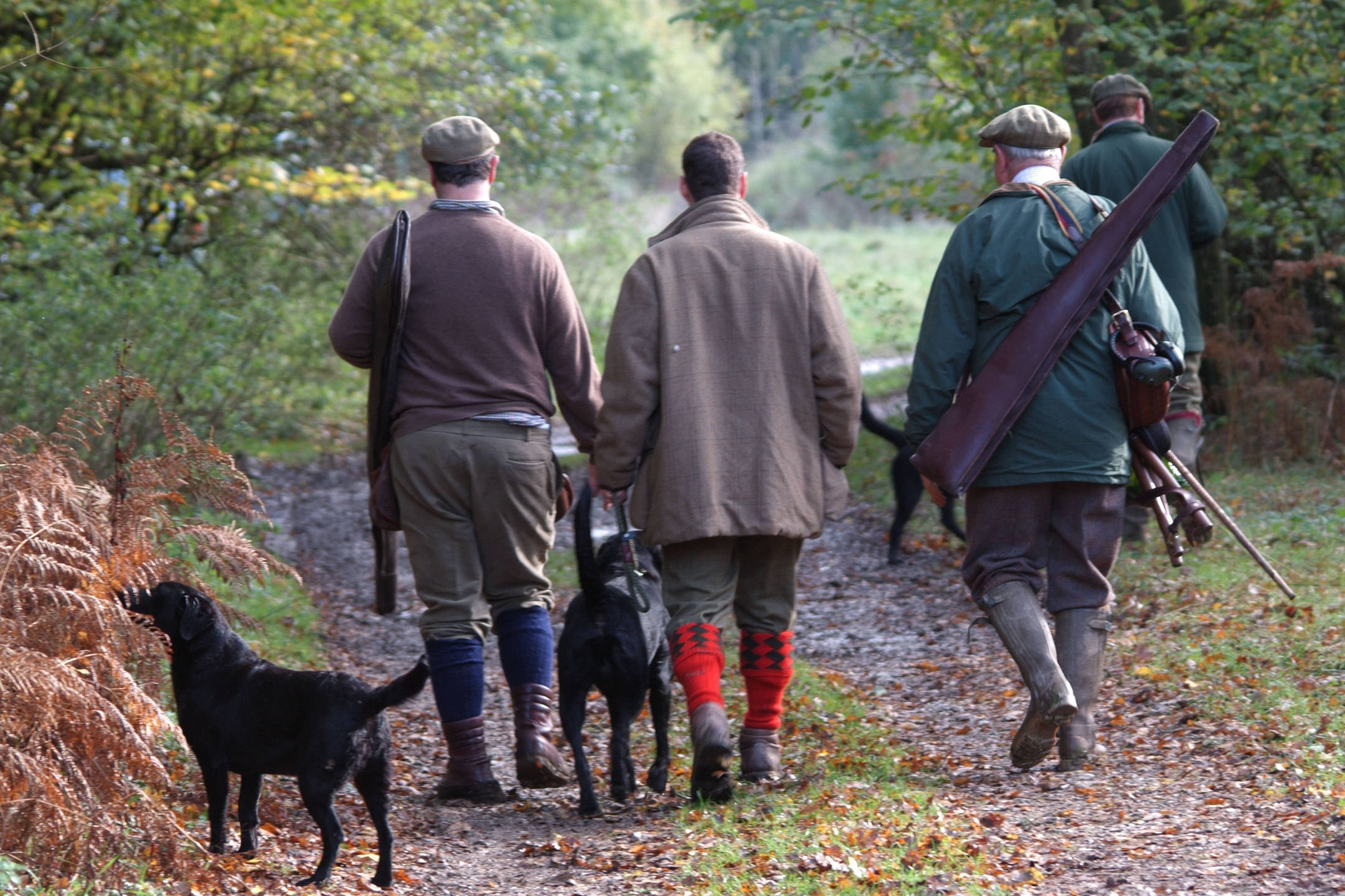 Driven pheasant and grouse hunting experiences.