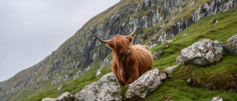 Discovering Scotland